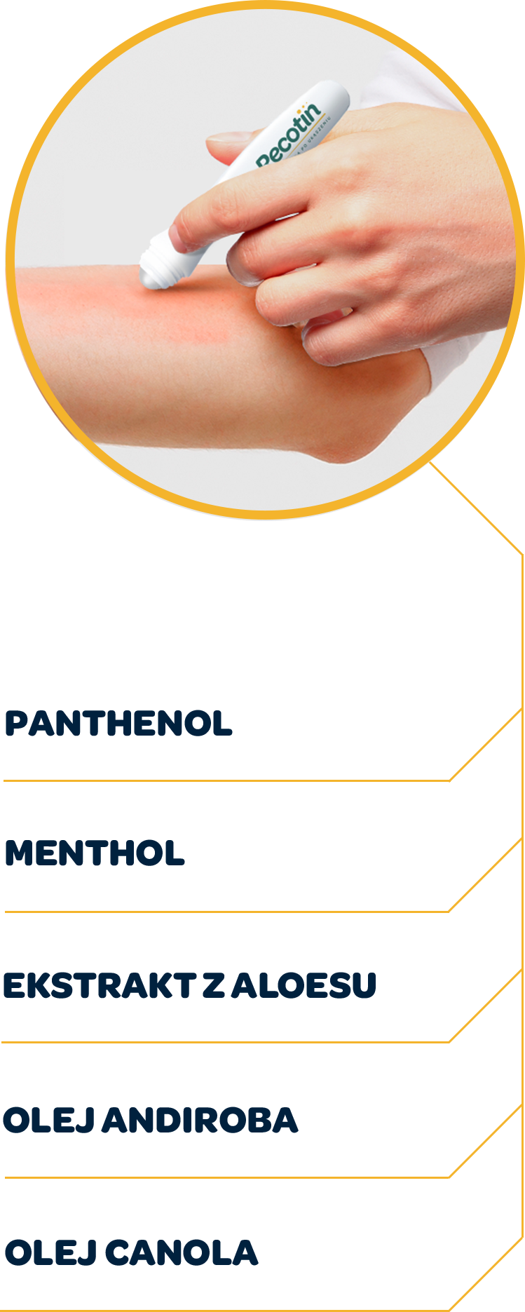 Składniki Recotin roll-on - grafika w wersji mobilnej